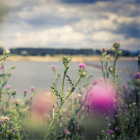 �����̹�������:img1.jpg